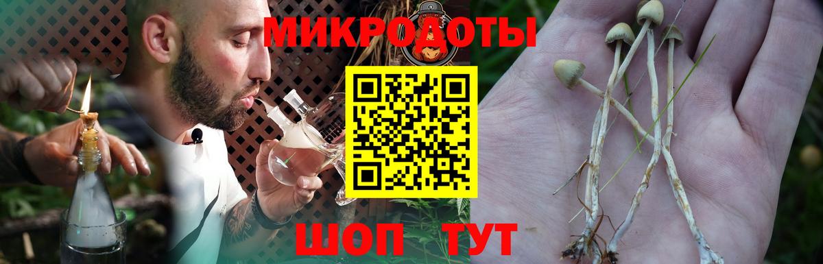 Псилоцибиновые грибы мухоморы  Галлюциногенные грибы GOLDEN TEACHER  Новомосковск  Вход с VPN 